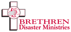 BDM logo
